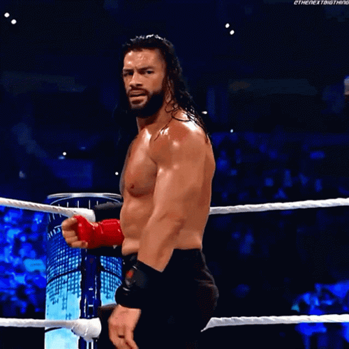 Roman Reigns Punching Ground GIF