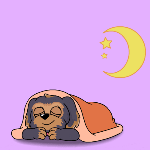 Romantic Good Night My Love Sweet Cartoon Dog GIF