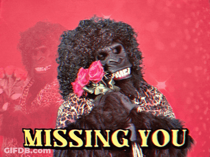 Romantic Gorilla Mascot GIF