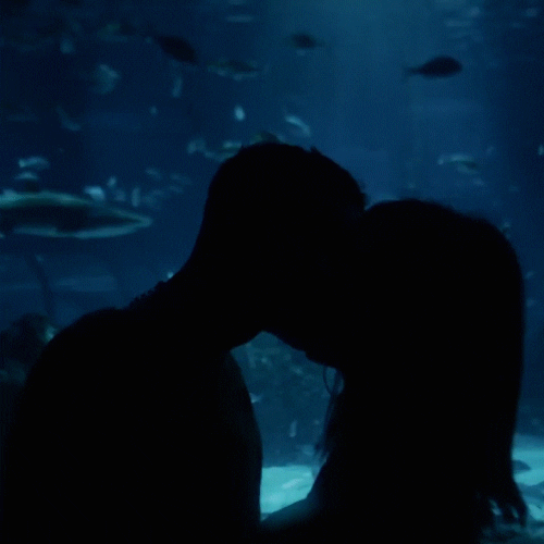 Romantic Kiss Aquarium Silhouette GIF