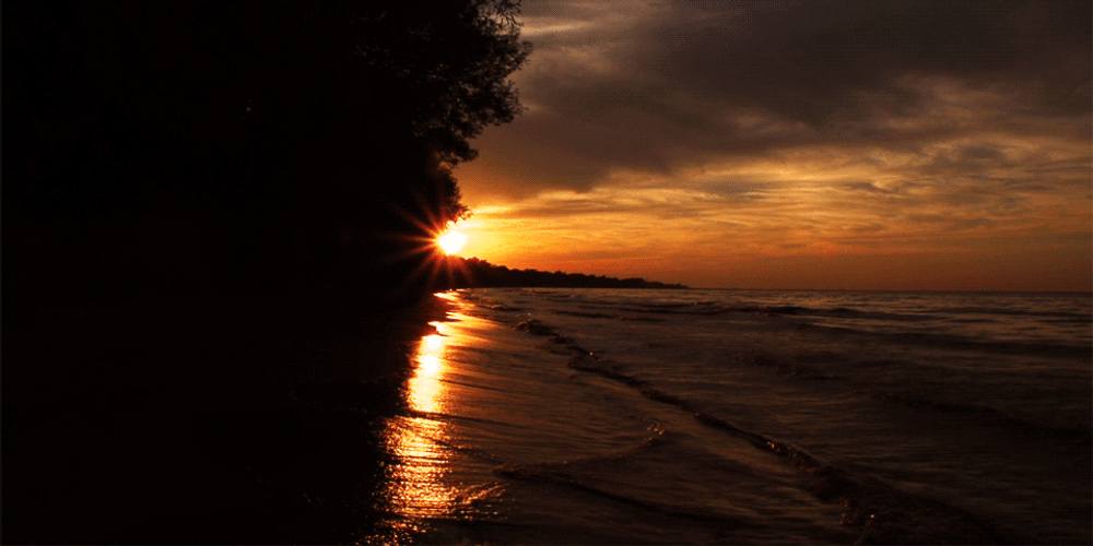 Romantic Sunset GIF