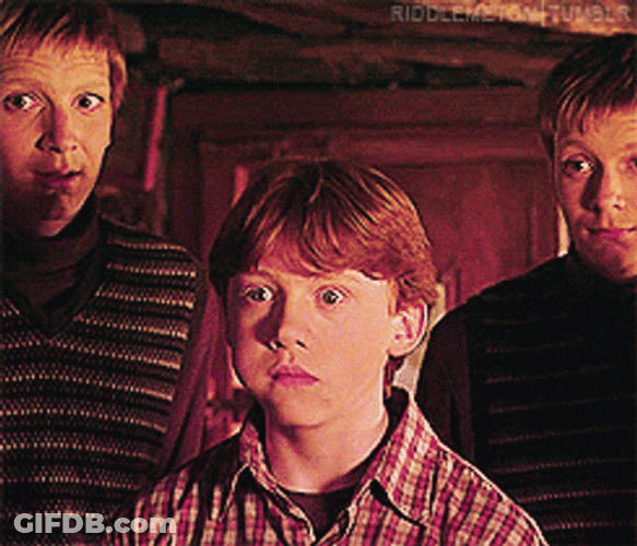 Ron George And Fred Weasley GIF