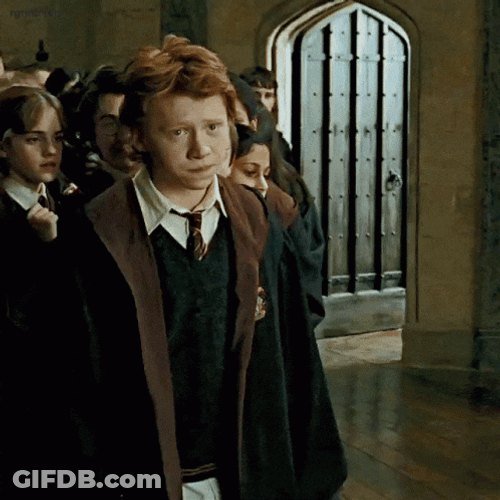 Ron In Gryffindor Robe GIF