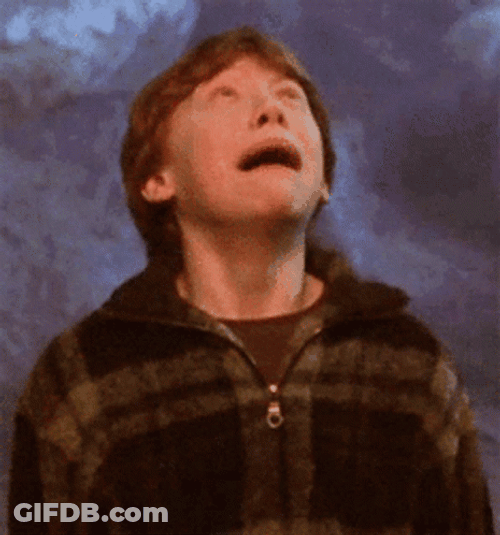 Ron Weasley Crying Why GIF