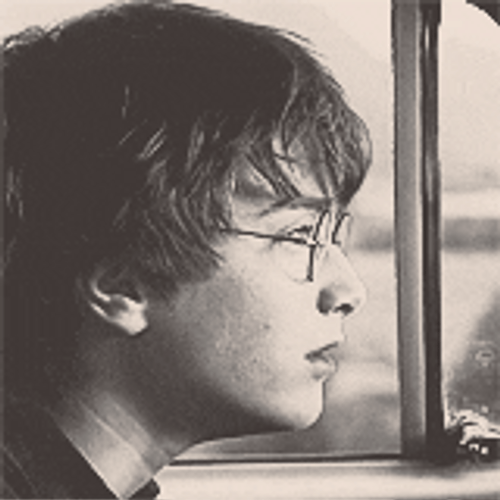 Ron Weasley Harry Look GIF