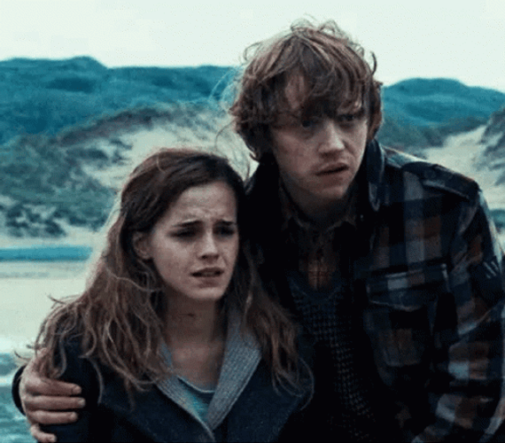 Ron Weasley Hermione Granger GIF