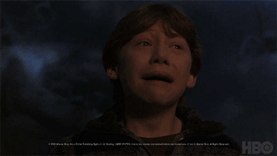Ron Weasley Scared Panic GIF