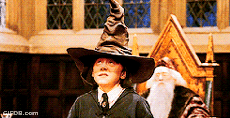 Ron Weasley Wearing Sorting Hat GIF