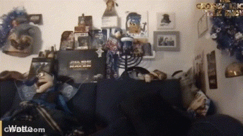 Room Full Of Stuff With Watto GIF