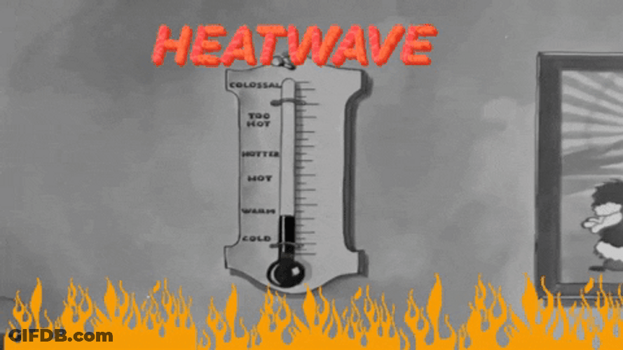 Room Thermometer With Increasing Temperature GIF