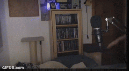 Room With Bookshelf, Microphone, And Cat Tree GIF