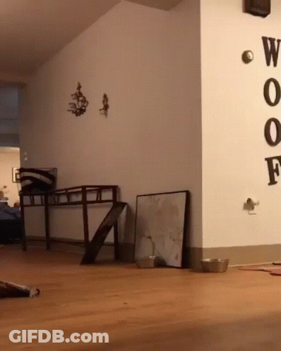Room With Clock Saying Woof GIF