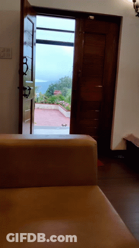 Room With Couch And Open Door View GIF