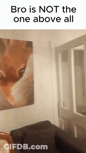 Room With Fox Painting Saying Bro Is Not The One Above All GIF