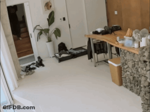 Room With Plant Desk And Banana GIF