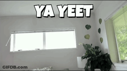 Room With Window And Ya Yeet GIF