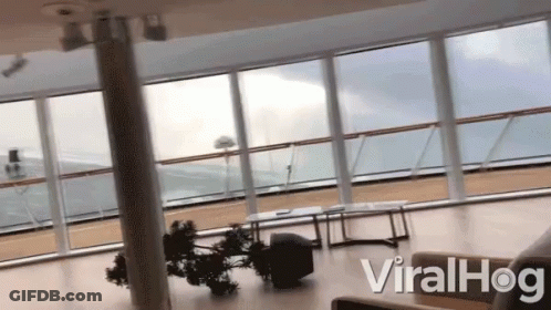 Room With Windows And Viralhog GIF
