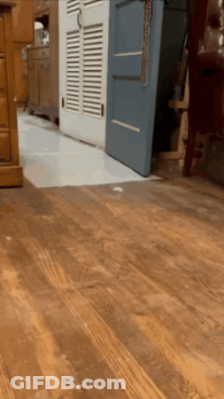 Room With Wooden Floor And Blue Door GIF
