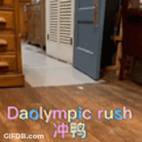 Room With Wooden Floor Saying Daolympic Rush GIF