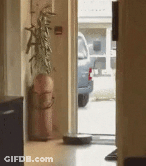 Roomba Irobot Vacuum Cleaner Wanna Clean Outside GIF