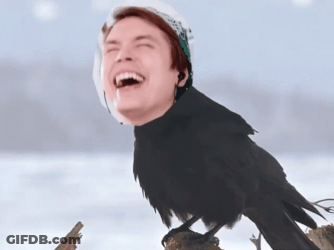 Roomie Edited In Crow's Body GIF