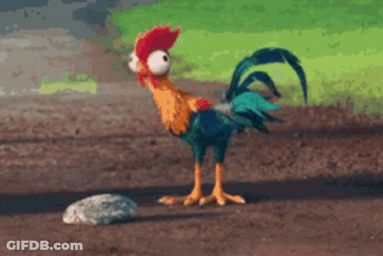 Rooster GIF