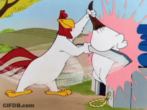Rooster And Dog Fighting Cartoon GIF