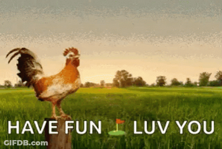 Rooster Crowing And Sun Going Out GIF