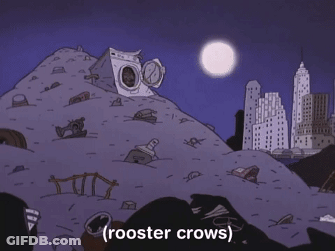 Rooster Crowing In Garbage Pile GIF