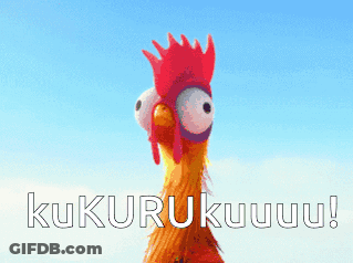 Rooster Crowing Kukurukuuu GIF