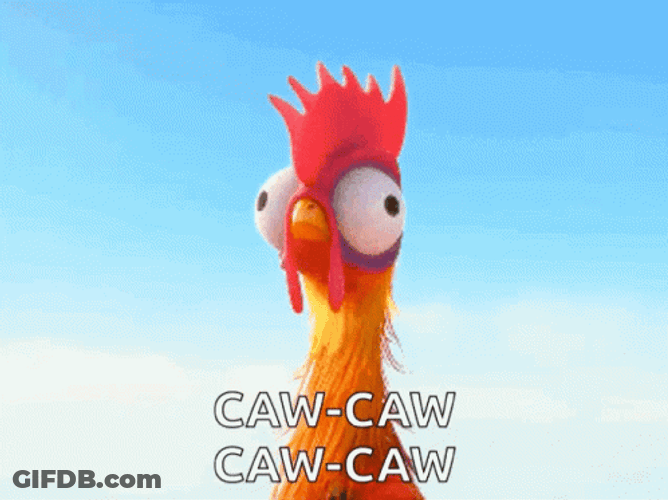 Rooster Crowing Moana Caw Caw GIF