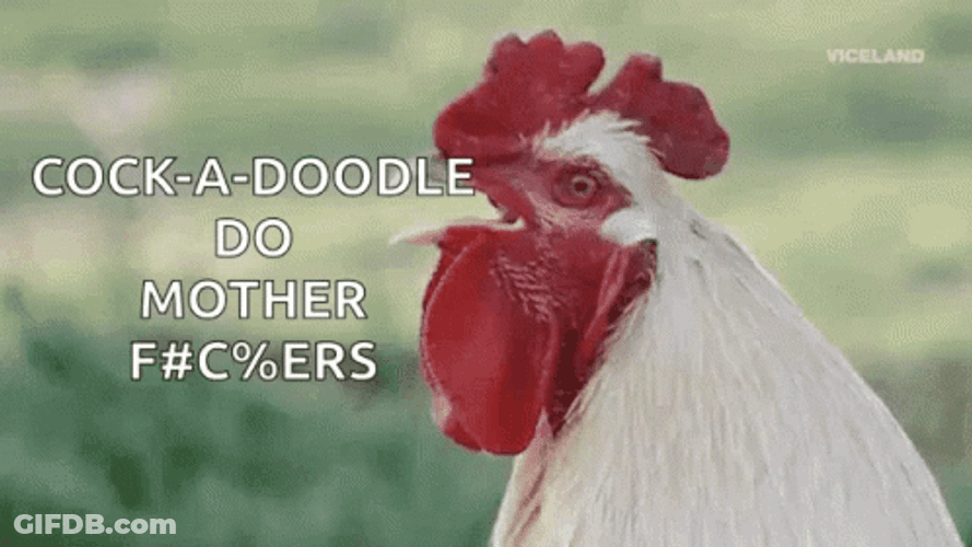 Rooster GIF