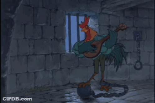 Rooster Holding Guitar Des Bas Des Hauts GIF