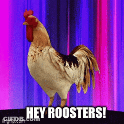 Rooster GIF