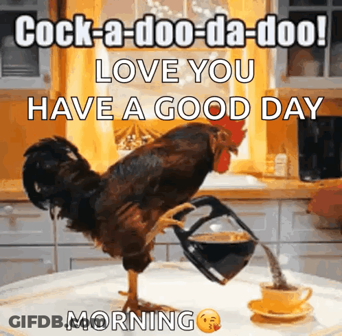 Rooster Pouring Coffee Into Cup GIF