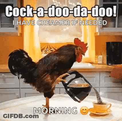 Rooster Pouring Coffee GIF