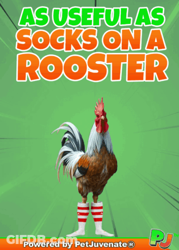 Rooster Red White Striped Socks Powered By Petjuvenate GIF