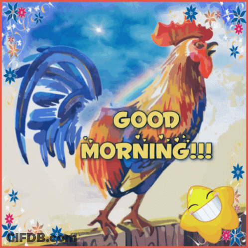 Rooster Saying Good Morning GIF