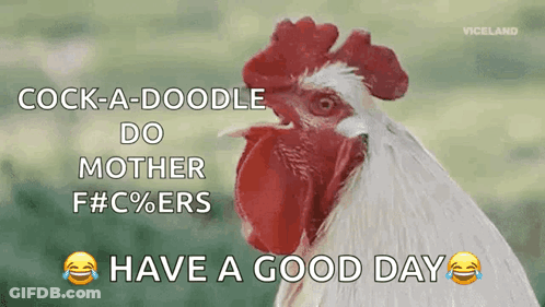 Rooster Says Cock-A-Doodle-Do Mother F# C% Ers Have A Good Day GIF