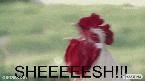 Rooster Screaming Sheeeeesh GIF