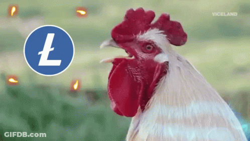 Rooster Standing In Front Of Blue Circle With Letter L GIF