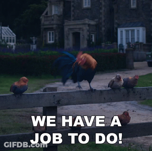 Rooster Standing On Wooden Fence We Have A Job To Do GIF