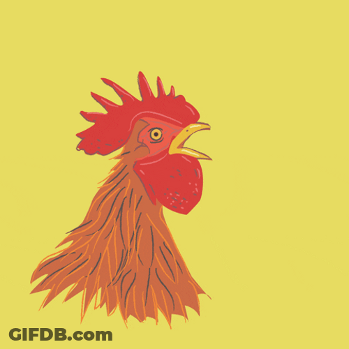 Rooster Wake Up Alarm Bell Loop GIF
