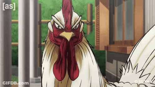 Rooster With As GIF