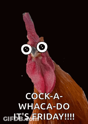 Rooster With Googly Eyes Saying Cock-A Whaca-Do It's Friday GIF