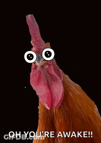 Rooster With Googly Eyes Saying Oh You're Awake GIF