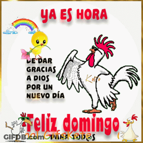 Rooster With Rainbow Ya Es Hora De Dar Gracias Por Un Nuevo Dia GIF