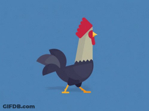 Rooster With Red Comb And Yellow Beak Walking On Blue Background GIF