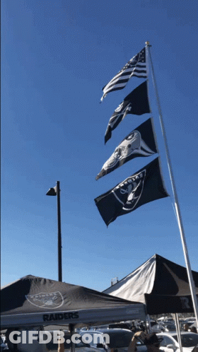 Rope With Raiders Text GIF