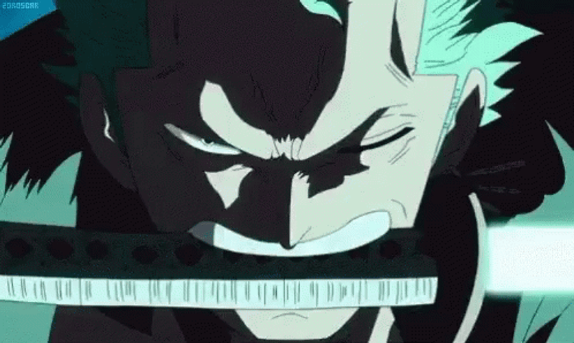 Roronoa Zoro Cool Battle Stance GIF